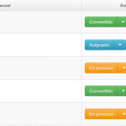 como-gestionar-una-empresa-de-servicios-crm-clientes-potenciales crm-clientes-potenciales